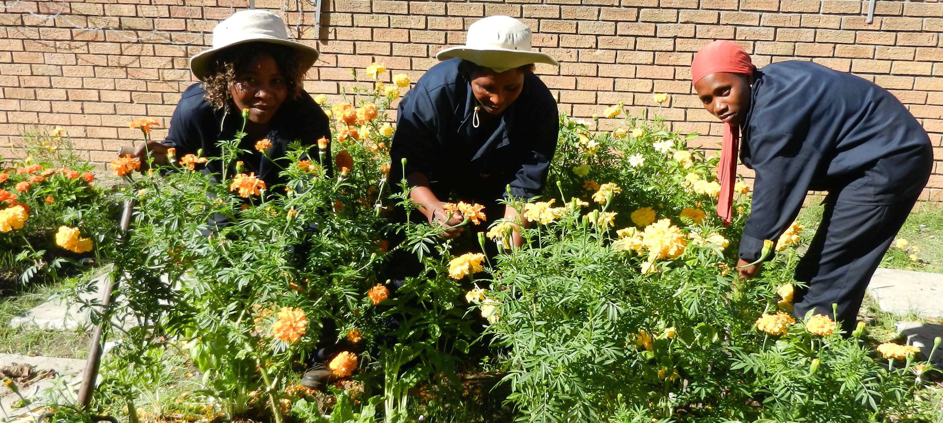 Mhani Gingi Paid interns at our nursary